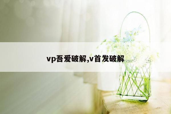 vp吾爱破解,v首发破解