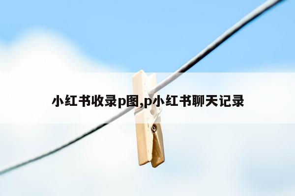 小红书收录p图,p小红书聊天记录