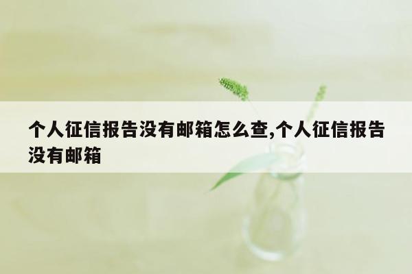 个人征信报告没有邮箱怎么查,个人征信报告没有邮箱