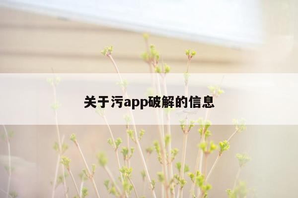 关于污app破解的信息