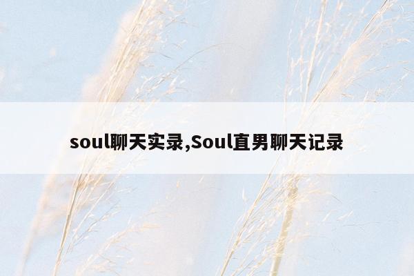 soul聊天实录,Soul直男聊天记录