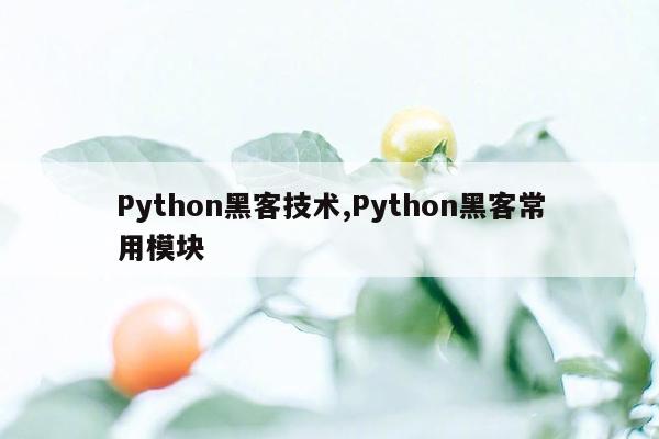 Python黑客技术,Python黑客常用模块