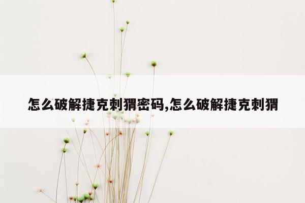 怎么破解捷克刺猬密码,怎么破解捷克刺猬