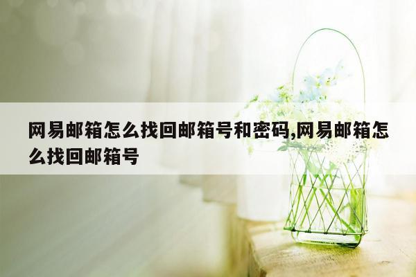 网易邮箱怎么找回邮箱号和密码,网易邮箱怎么找回邮箱号