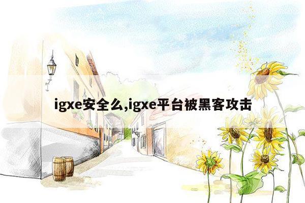 igxe安全么,igxe平台被黑客攻击