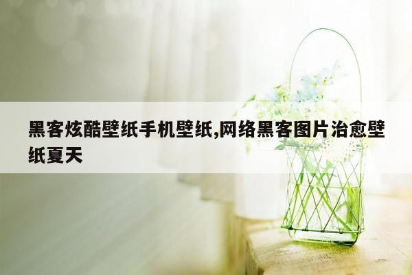 黑客炫酷壁纸手机壁纸,网络黑客图片治愈壁纸夏天