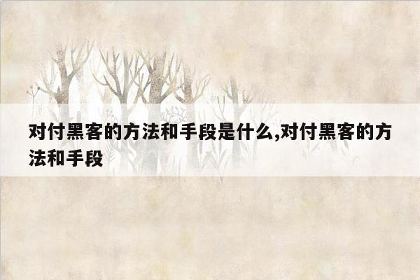 对付黑客的方法和手段是什么,对付黑客的方法和手段