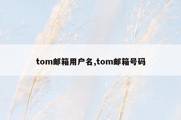 tom邮箱用户名,tom邮箱号码