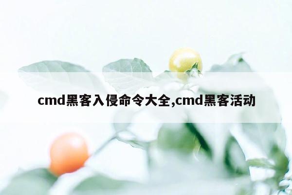 cmd黑客入侵命令大全,cmd黑客活动