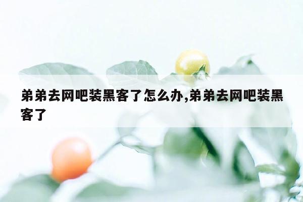 弟弟去网吧装黑客了怎么办,弟弟去网吧装黑客了