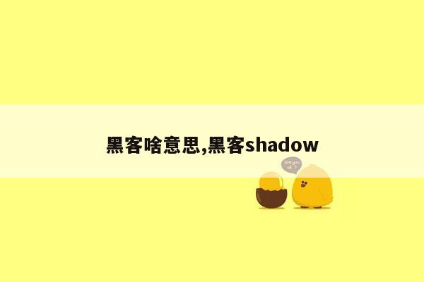 黑客啥意思,黑客shadow