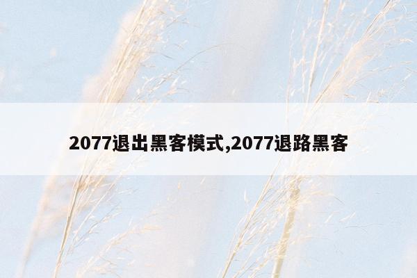 2077退出黑客模式,2077退路黑客