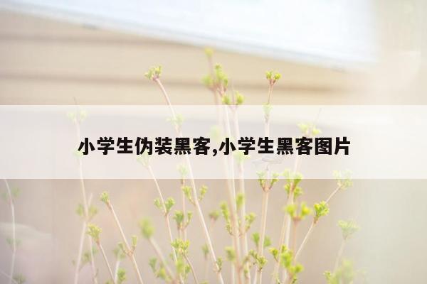 小学生伪装黑客,小学生黑客图片