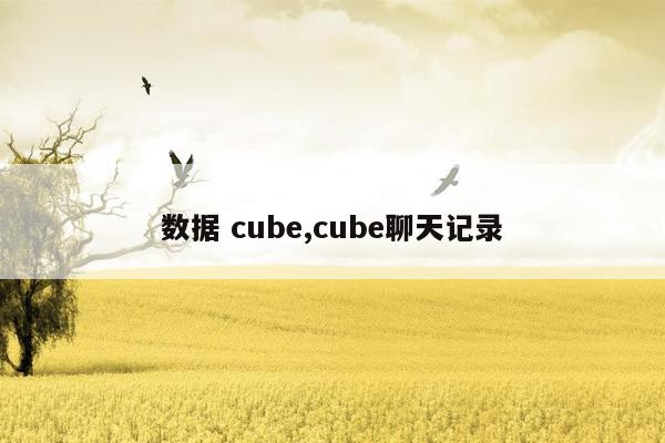 数据 cube,cube聊天记录