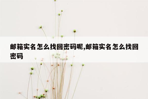 邮箱实名怎么找回密码呢,邮箱实名怎么找回密码