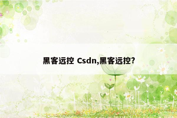 黑客远控 Csdn,黑客远控?