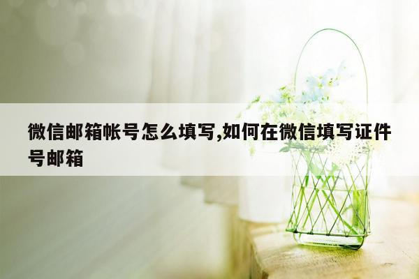 微信邮箱帐号怎么填写,如何在微信填写证件号邮箱