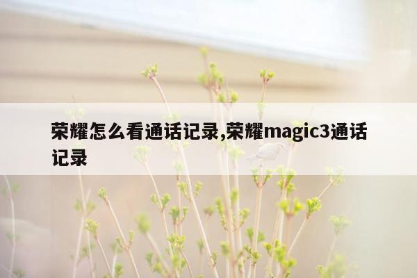 荣耀怎么看通话记录,荣耀magic3通话记录