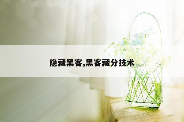 隐藏黑客,黑客藏分技术