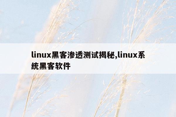 linux黑客渗透测试揭秘,linux系统黑客软件