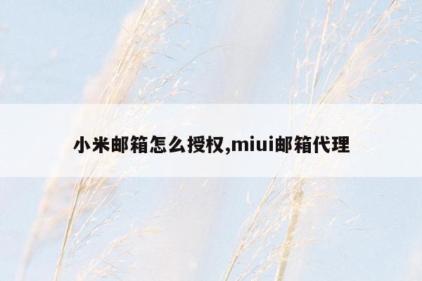 小米邮箱怎么授权,miui邮箱代理