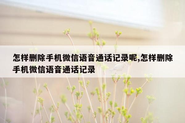 怎样删除手机微信语音通话记录呢,怎样删除手机微信语音通话记录