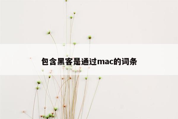 包含黑客是通过mac的词条