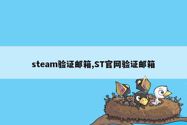 steam验证邮箱,ST官网验证邮箱