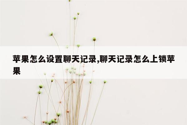 苹果怎么设置聊天记录,聊天记录怎么上锁苹果