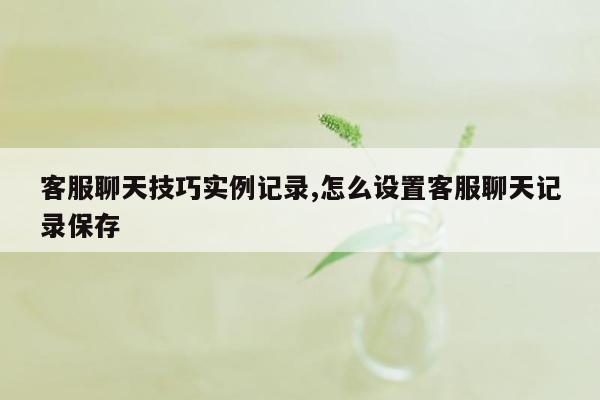 客服聊天技巧实例记录,怎么设置客服聊天记录保存