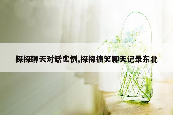 探探聊天对话实例,探探搞笑聊天记录东北