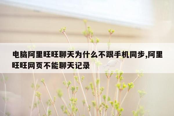 电脑阿里旺旺聊天为什么不跟手机同步,阿里旺旺网页不能聊天记录