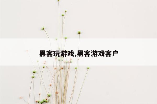 黑客玩游戏,黑客游戏客户