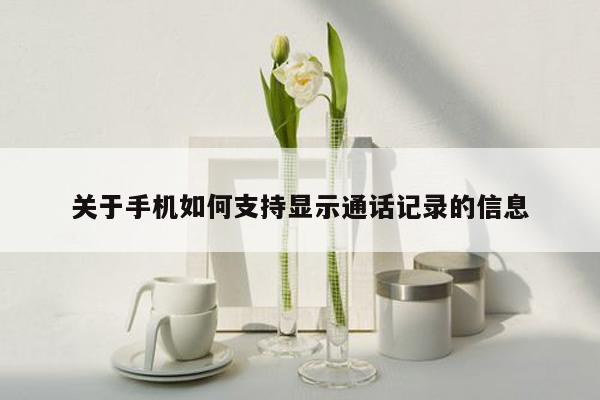 关于手机如何支持显示通话记录的信息