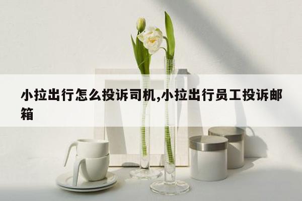 小拉出行怎么投诉司机,小拉出行员工投诉邮箱