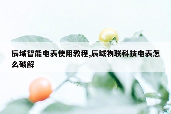 辰域智能电表使用教程,辰域物联科技电表怎么破解