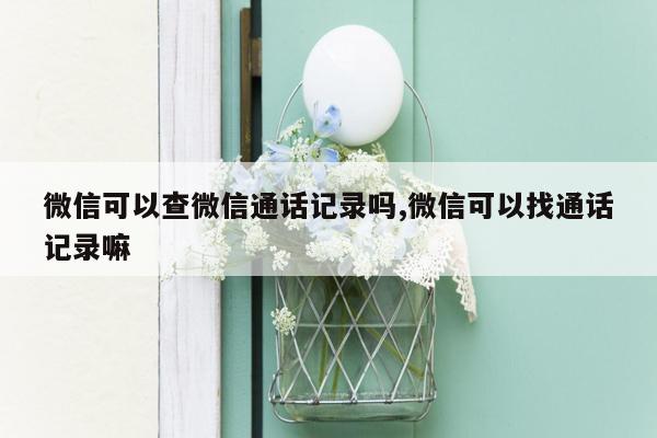 微信可以查微信通话记录吗,微信可以找通话记录嘛