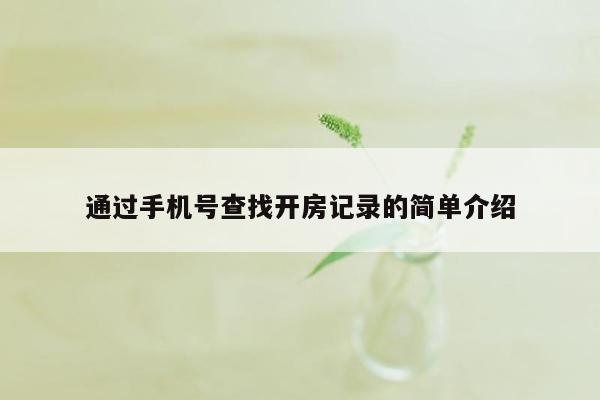 通过手机号查找开房记录的简单介绍