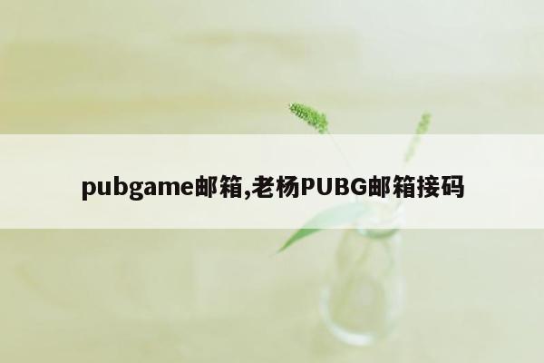 pubgame邮箱,老杨PUBG邮箱接码