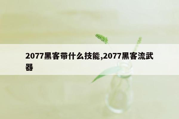 2077黑客带什么技能,2077黑客流武器