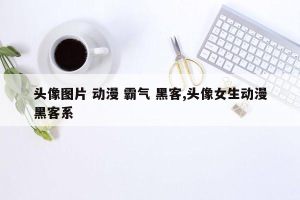 头像图片 动漫 霸气 黑客,头像女生动漫黑客系