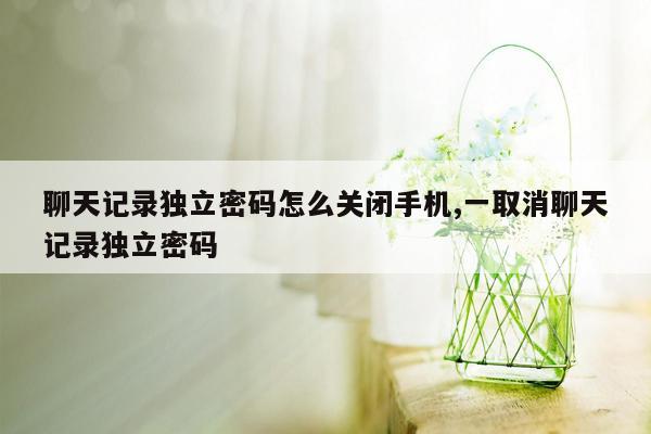 聊天记录独立密码怎么关闭手机,一取消聊天记录独立密码