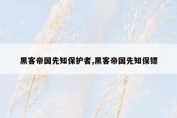 黑客帝国先知保护者,黑客帝国先知保镖