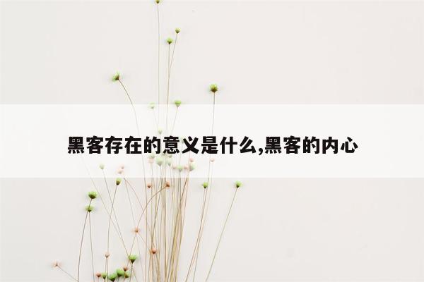 黑客存在的意义是什么,黑客的内心