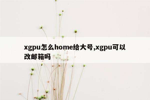 xgpu怎么home给大号,xgpu可以改邮箱吗