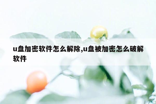 u盘加密软件怎么解除,u盘被加密怎么破解软件