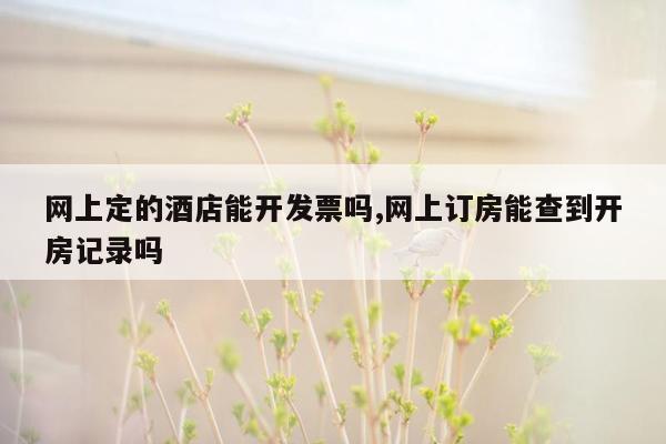 网上定的酒店能开发票吗,网上订房能查到开房记录吗