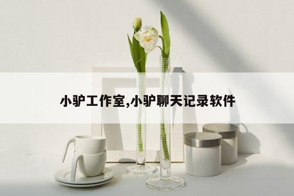 小驴工作室,小驴聊天记录软件