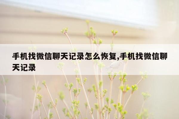 手机找微信聊天记录怎么恢复,手机找微信聊天记录