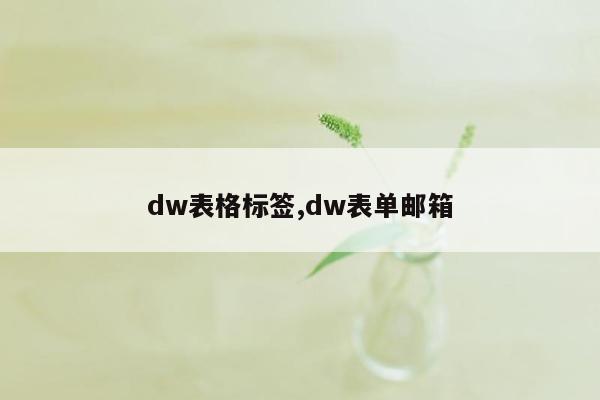 dw表格标签,dw表单邮箱